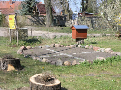 Neu angelegtes Staudenbeet